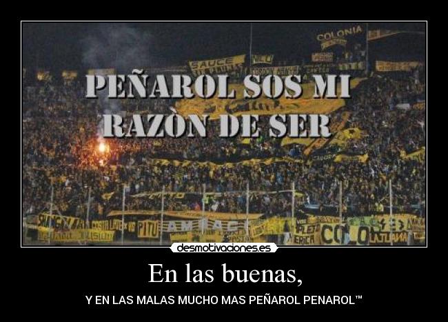 carteles maxi gonzalez desmotivaciones