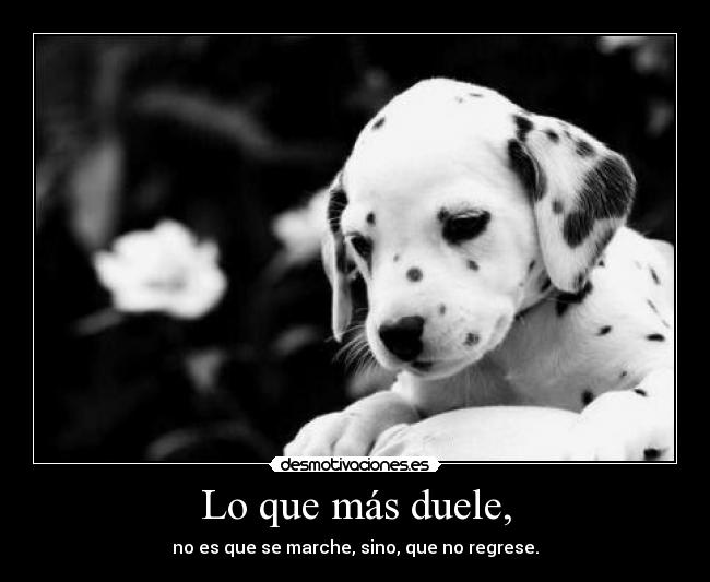 Lo que más duele, - 