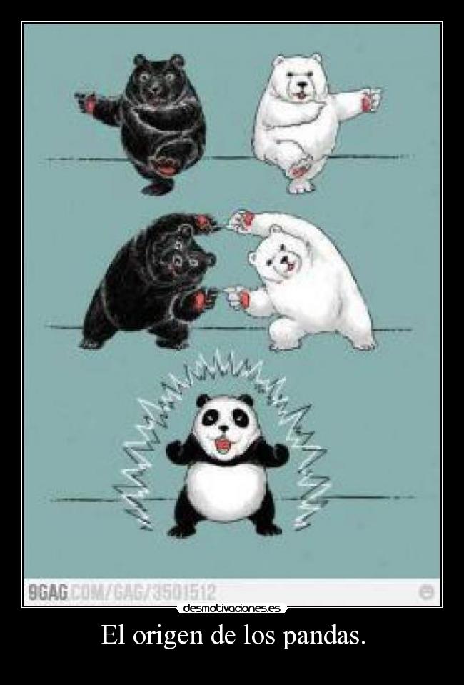 El origen de los pandas. - 