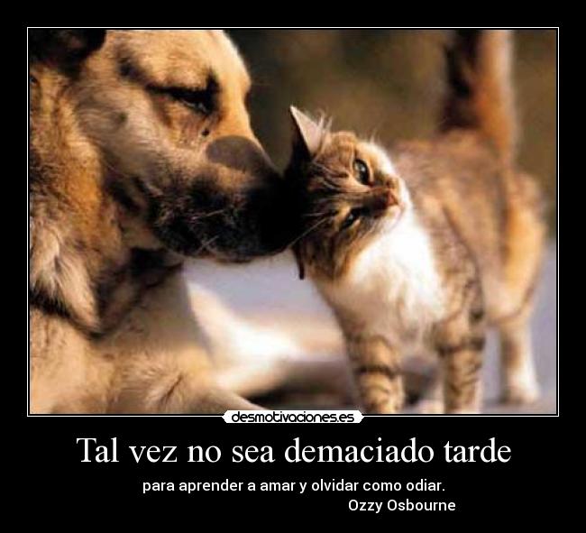 carteles demaciado tarde desmotivaciones