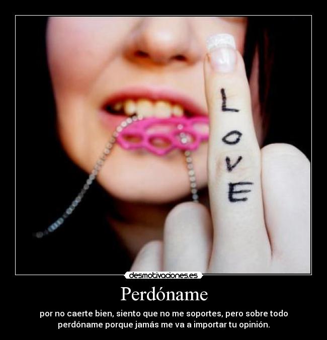 carteles perdoname porque jamas importar opinion desmotivaciones