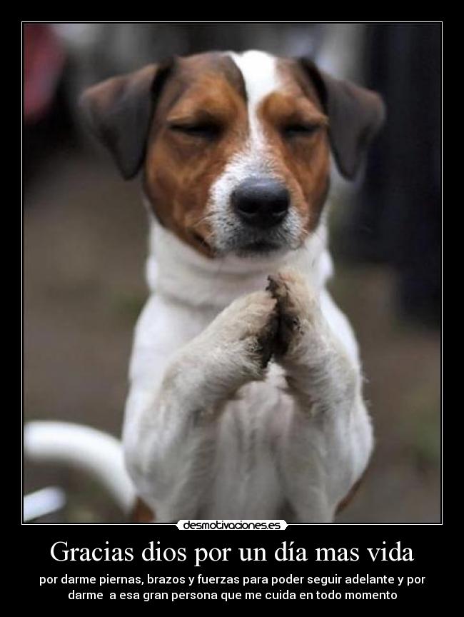 Gracias dios por un día mas vida - por darme piernas, brazos y fuerzas para poder seguir adelante y por
darme a esa gran persona que me cuida en todo momento