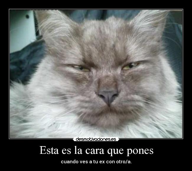 Esta es la cara que pones - cuando ves a tu ex con otro/a.