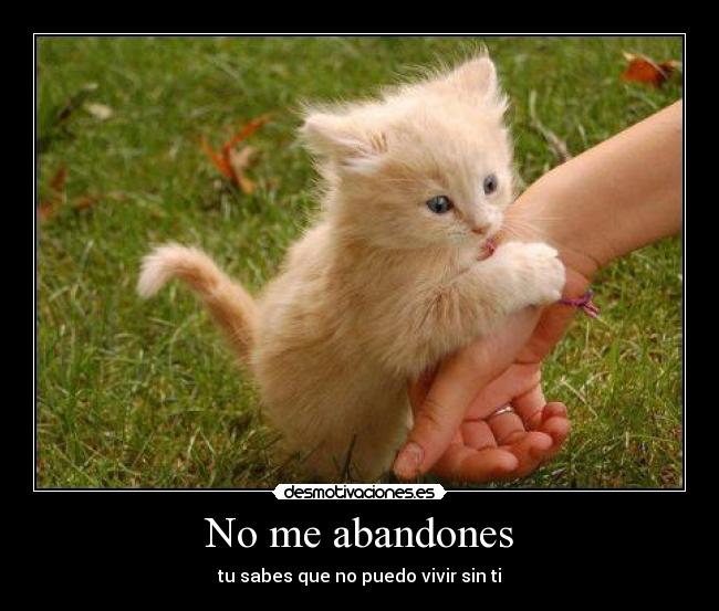 No me abandones -