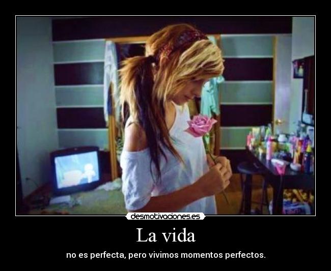 La vida - no es perfecta, pero vivimos momentos perfectos.