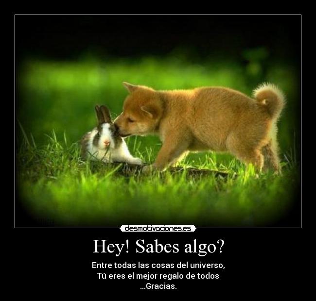 Hey! Sabes algo? -