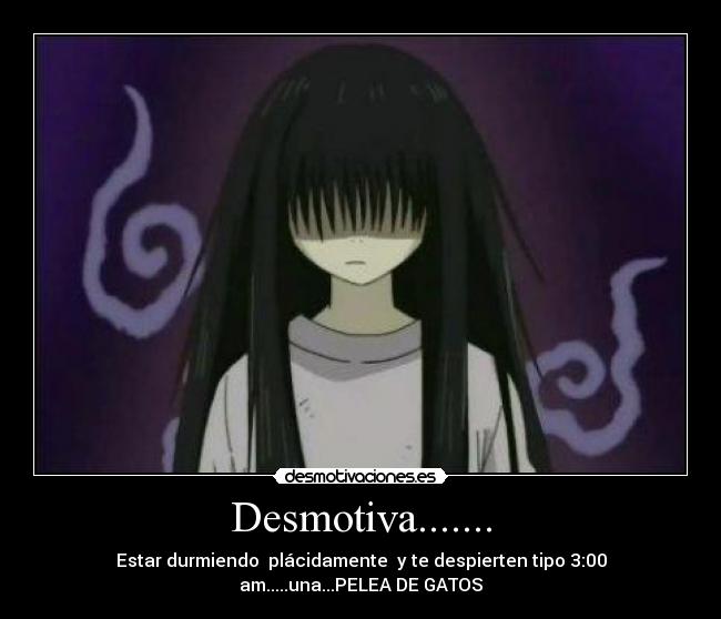 Desmotiva....... - Estar durmiendo plácidamente y te despierten tipo 3:00
am.....una...PELEA DE GATOS