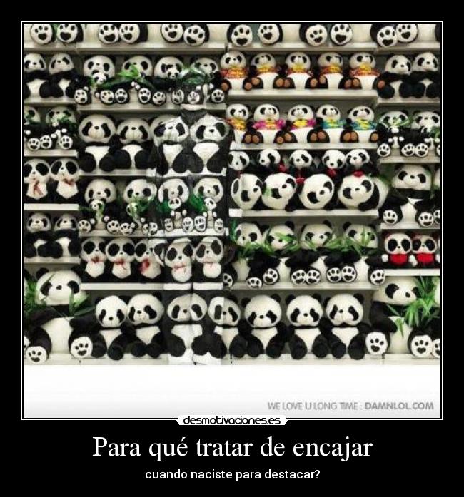 carteles makeawish entrego flores palabras armo ramo desmotivaciones