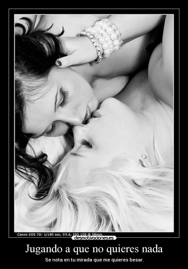 carteles desmorrollobollo puk lesbian lovee desmotivaciones