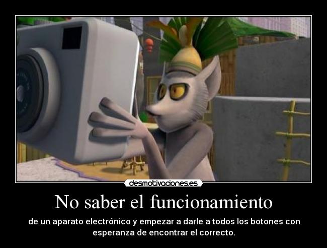 No saber el funcionamiento - 