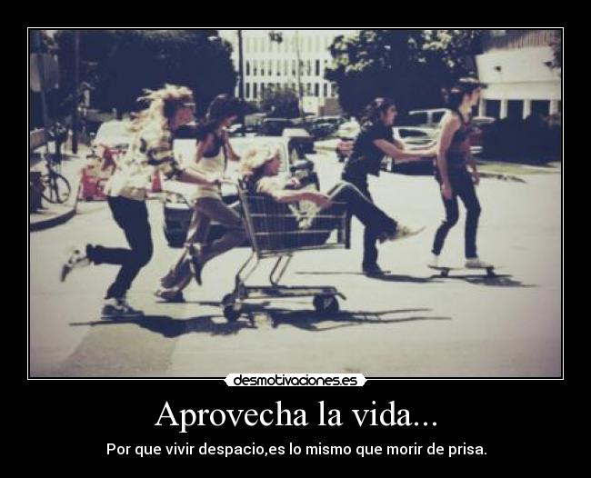 carteles vida desmotivaciones