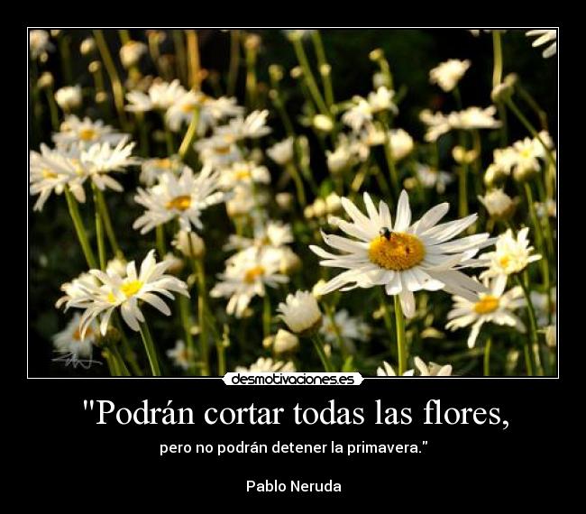 Podrán cortar todas las flores, - pero no podrán detener la primavera.

Pablo Neruda