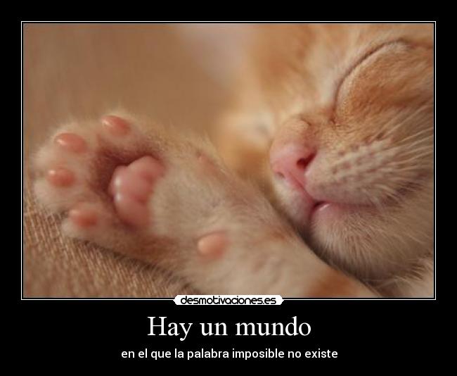 Hay un mundo -