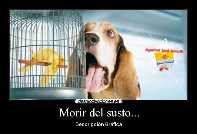 Morir del susto... - Descripción Gráfica