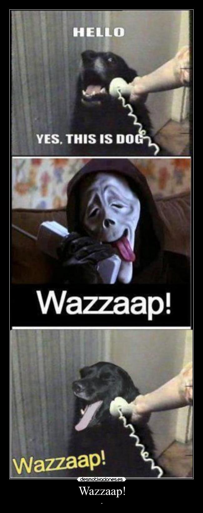 Wazzaap! - -