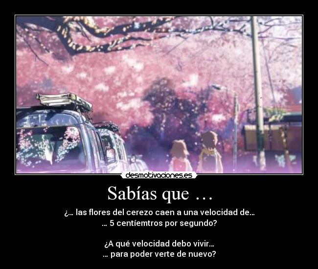Sabías que … - ¿… las flores del cerezo caen a una velocidad de…
… 5 centíemtros por segundo?
¿A qué velocidad debo vivir…
… para poder verte de nuevo?