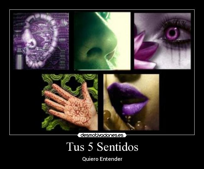 Tus 5 Sentidos - 