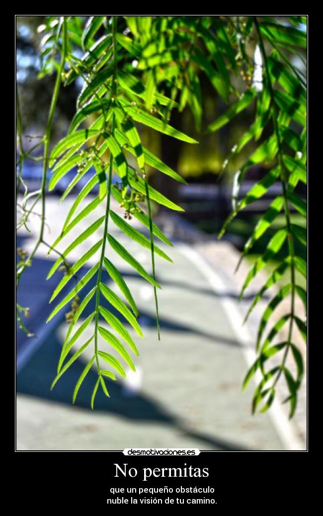 No permitas - 