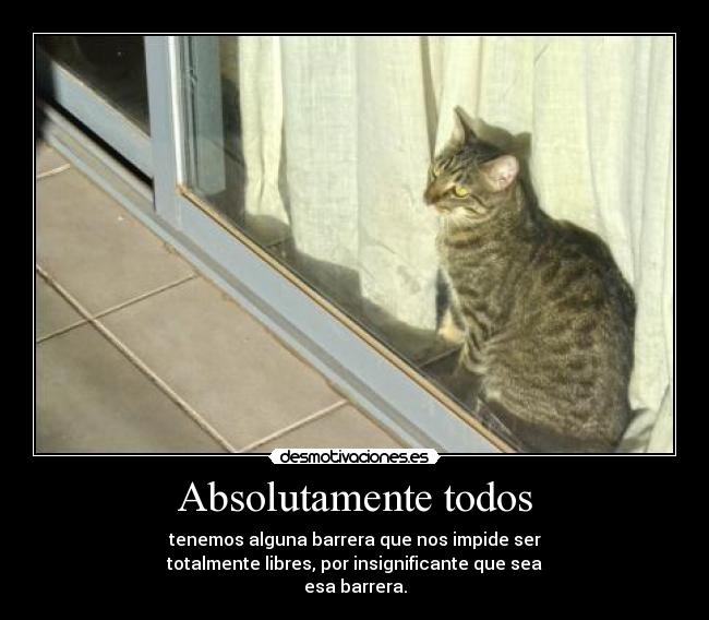 carteles chemosh desmotivaciones