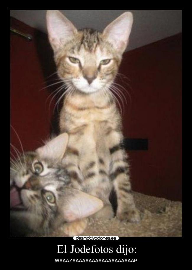 El Jodefotos dijo: - WAAAZAAAAAAAAAAAAAAAAAAAP