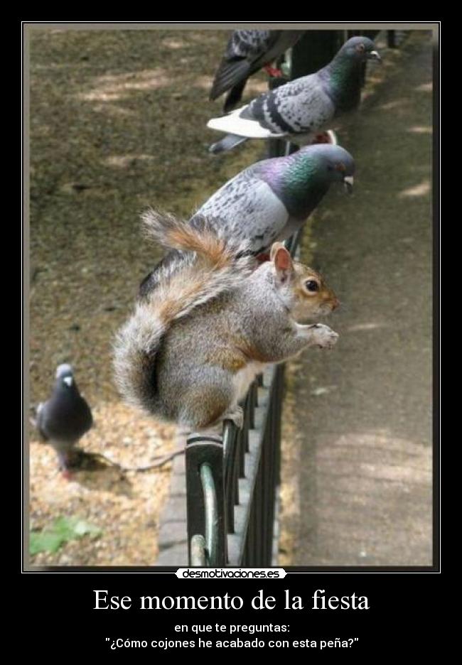 Ese momento de la fiesta - 
