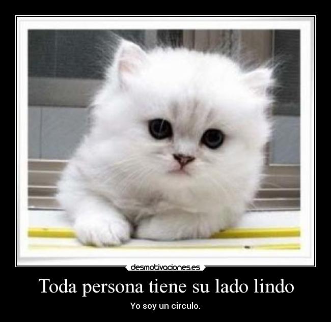 Toda persona tiene su lado lindo - Yo soy un circulo.