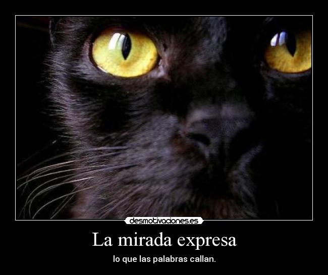 La mirada expresa - 