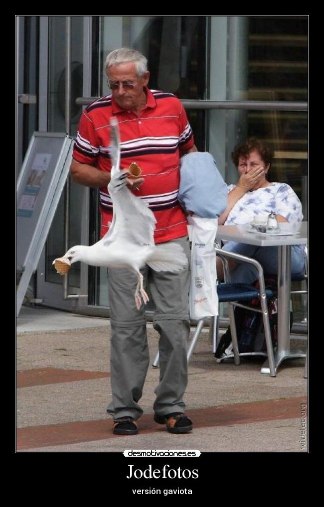 Jodefotos - versión gaviota