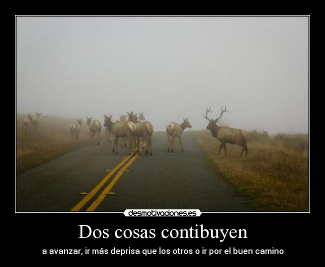 Dos cosas contibuyen - a avanzar, ir más deprisa que los otros o ir por el buen camino