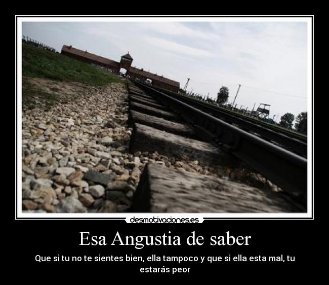 Esa Angustia de saber -