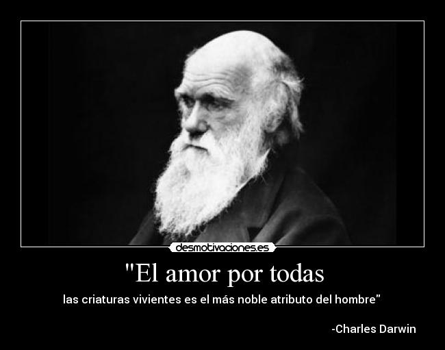 El amor por todas - las criaturas vivientes es el más noble atributo del hombre 
                                                                                       
                                                                                                              -Charles Darwin