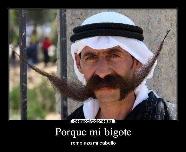 Porque mi bigote -