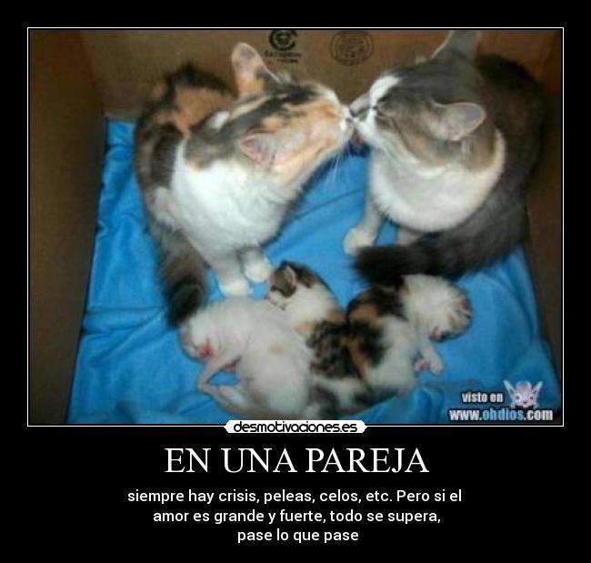 EN UNA PAREJA - siempre hay crisis, peleas, celos, etc. Pero si el
amor es grande y fuerte, todo se supera,
pase lo que pase