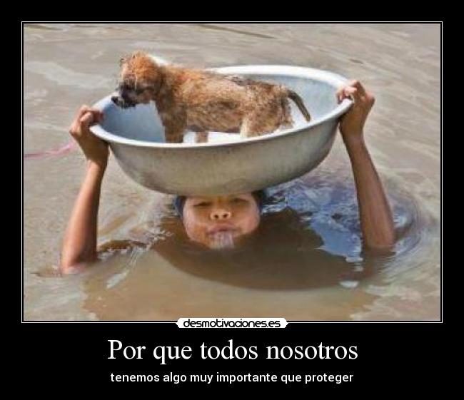Por que todos nosotros -