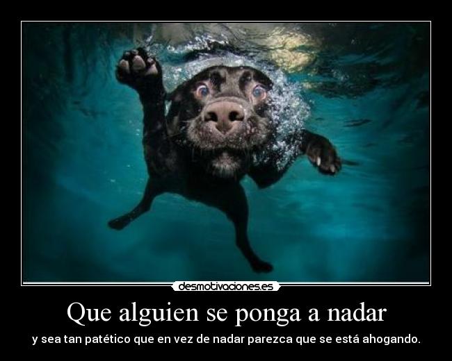 Que alguien se ponga a nadar - y sea tan patético que en vez de nadar parezca que se está ahogando.