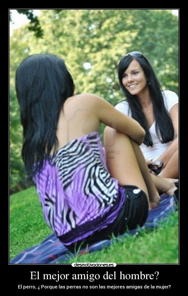 El mejor amigo del hombre? - 