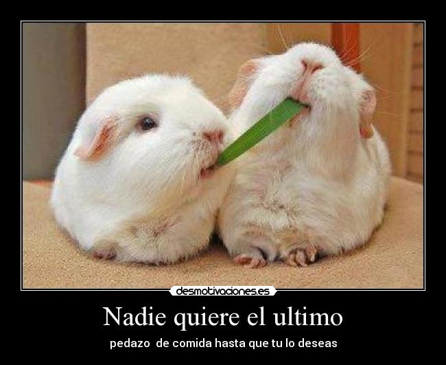 carteles ley desmotivaciones