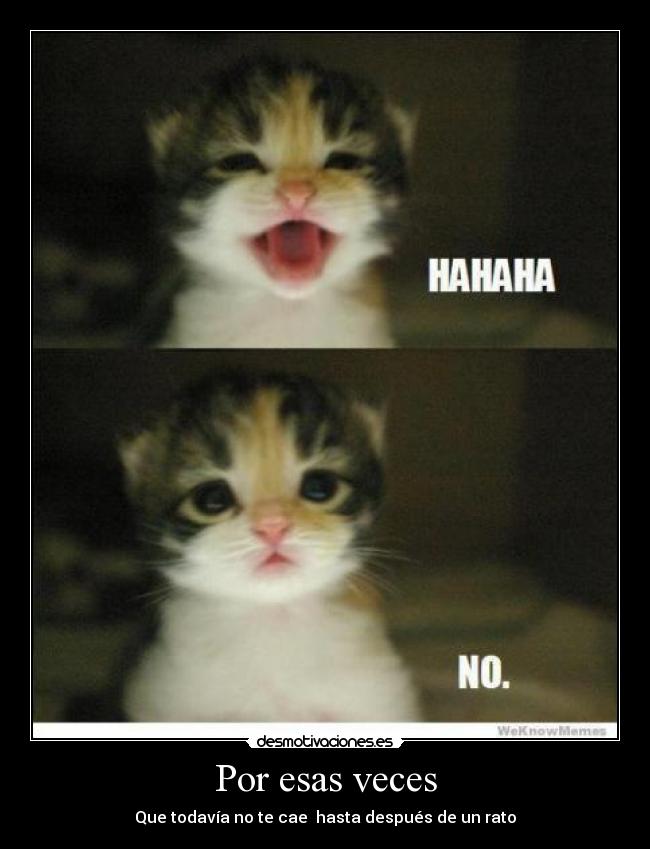 Por esas veces -