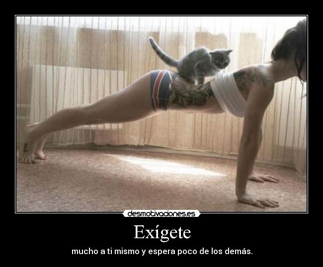 carteles belkin desmotivaciones