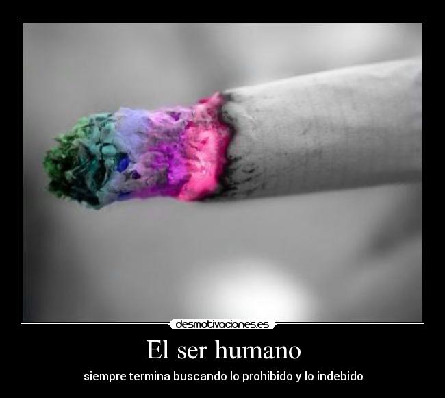 El ser humano -
