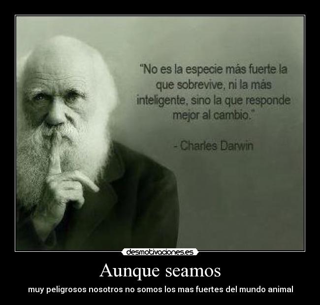 carteles charles darwin desmotivaciones