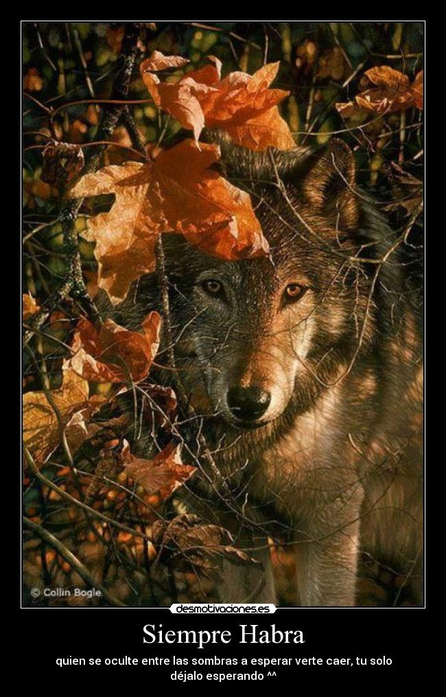 Siempre Habra - quien se oculte entre las sombras a esperar verte caer, tu solo déjalo esperando ^^