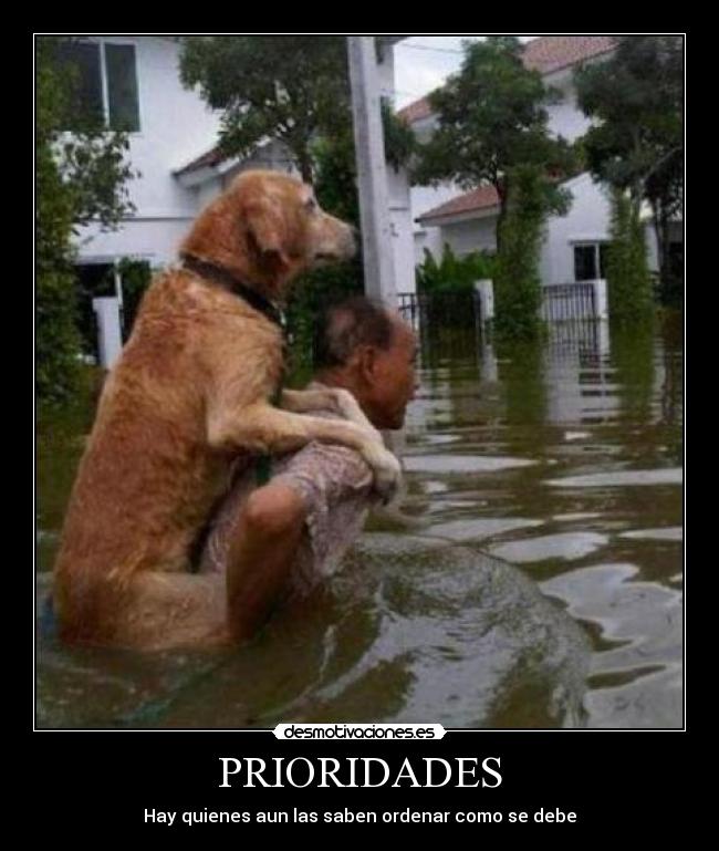 PRIORIDADES -