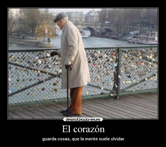 El corazón - 