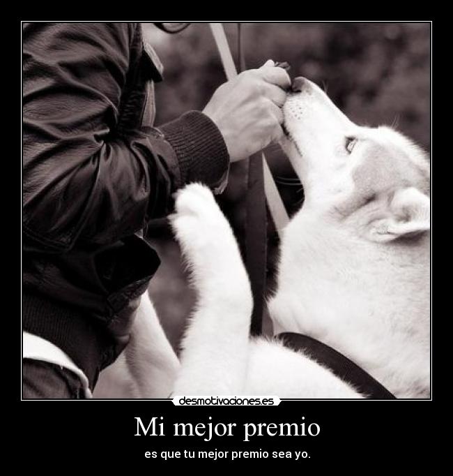 Mi mejor premio -