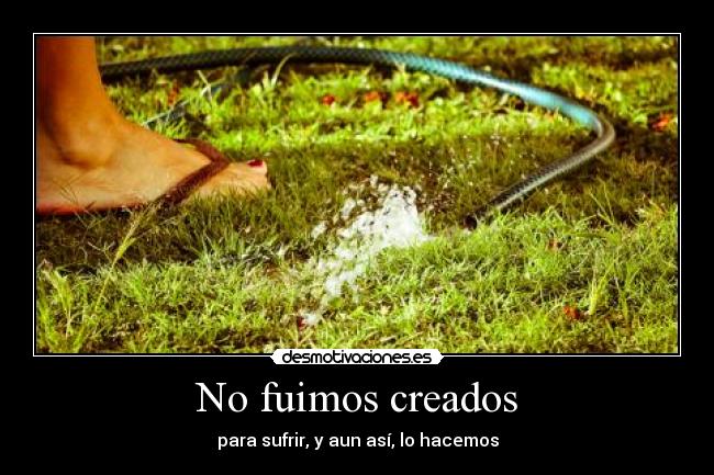 No fuimos creados - para sufrir, y aun así, lo hacemos