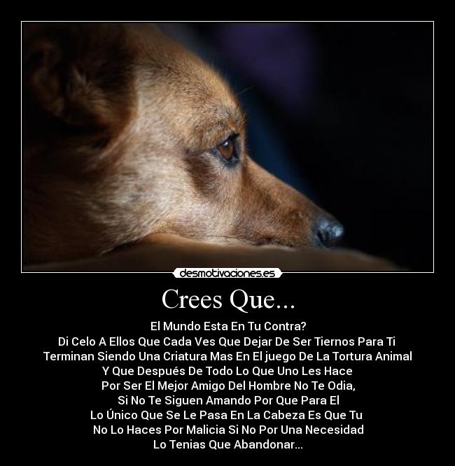 Crees Que... -