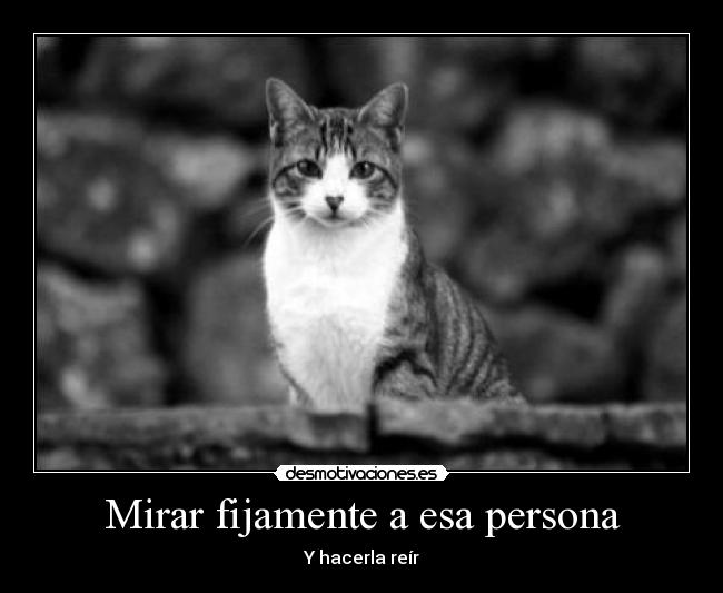 Mirar fijamente a esa persona -