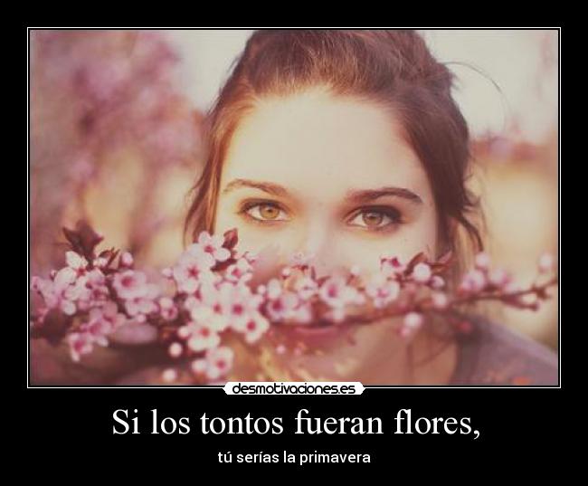 Si los tontos fueran flores, - 