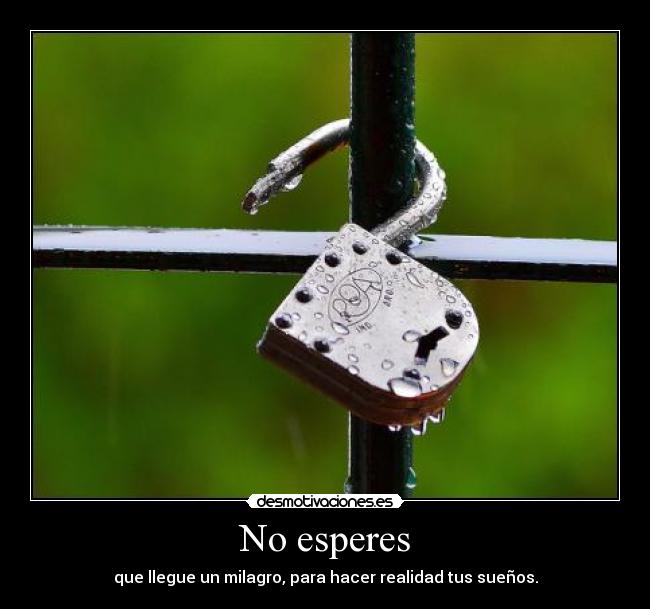 No esperes - que llegue un milagro, para hacer realidad tus sueños.